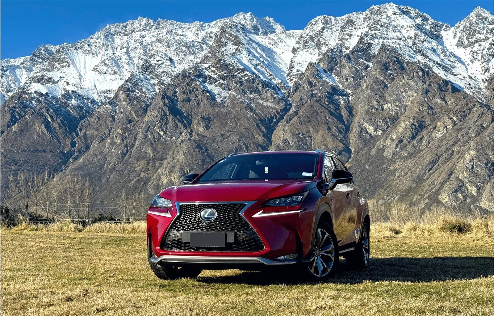 Lexus NX300 Hybrid photo 1
